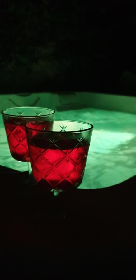 Maison De Maitre A Bram # Jacuzzi Luaran gambar