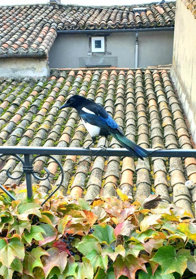 Maison De Maitre A Bram # Jacuzzi Luaran gambar